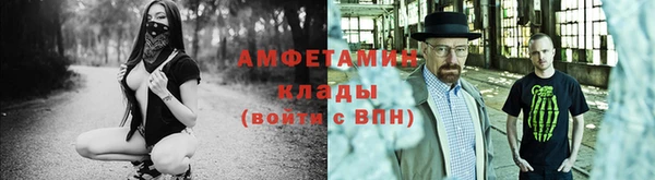 стаф Кодинск