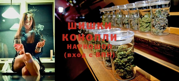 стаф Кодинск