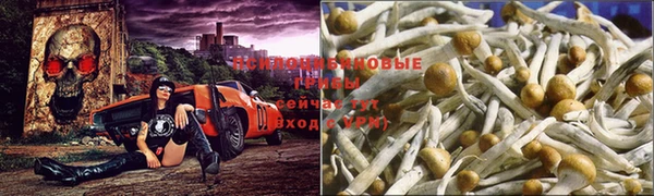 кокаин премиум Костерёво