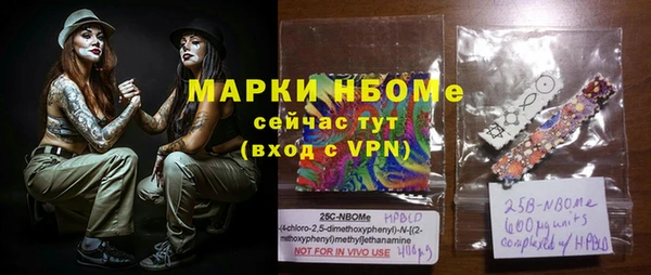 стаф Кодинск