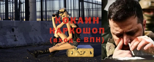 стаф Кодинск
